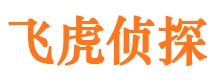 丰满市婚姻调查